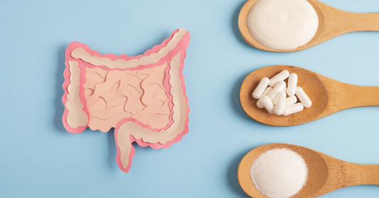 Digestive Enzymes vs. Probiotics: Your Ultimate Guide to Gut Health (Can You Take Them Together?)