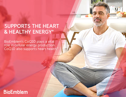 Energy & Focus Bundle