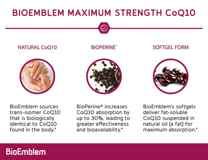 Energy & Focus Bundle