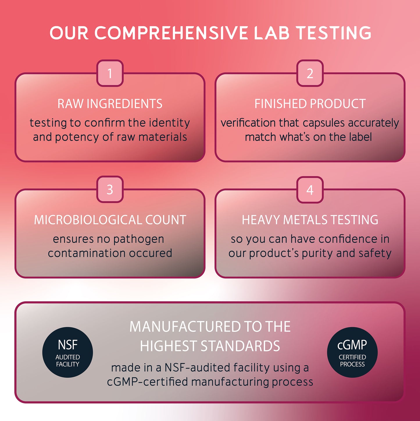 Energy & Focus Bundle