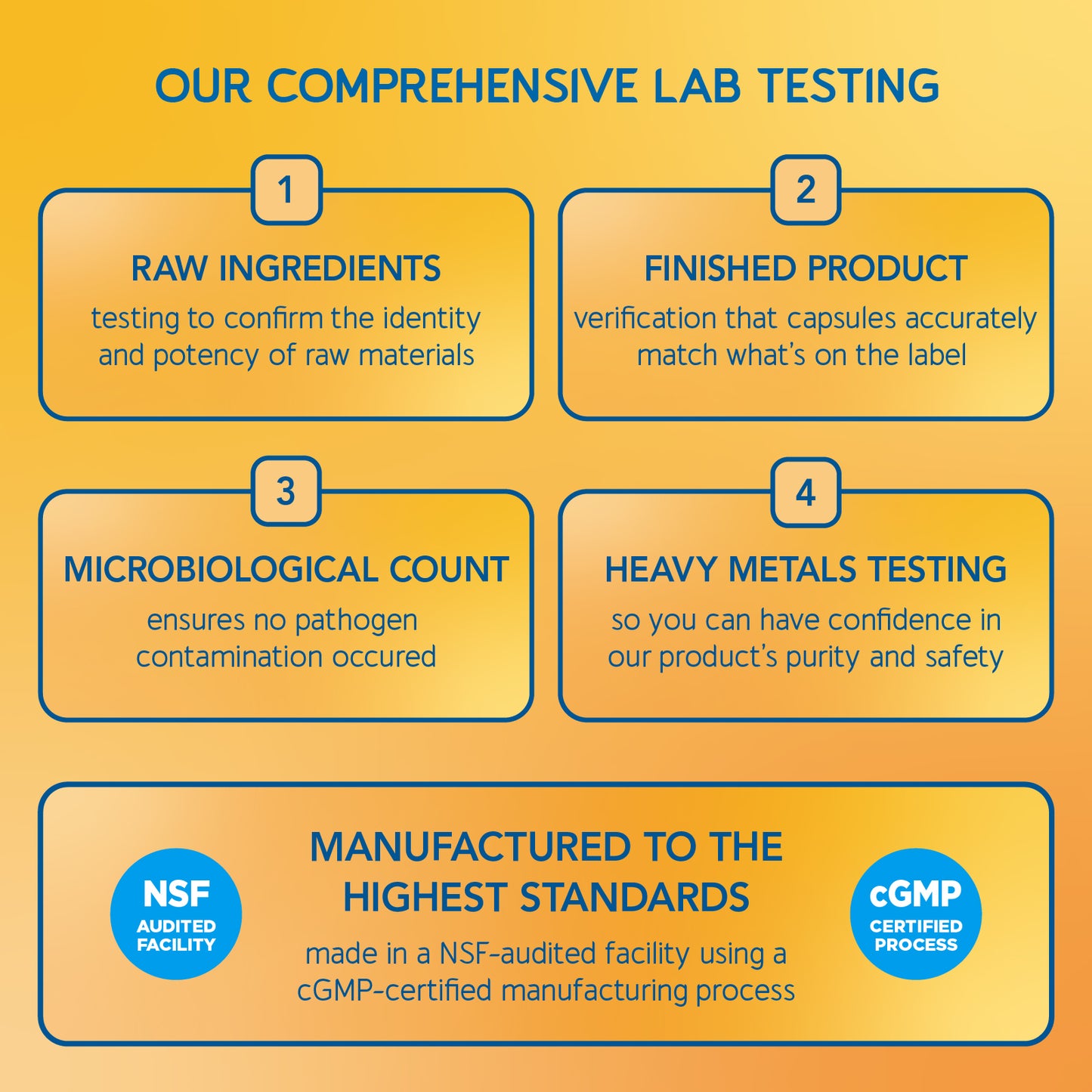 Energy & Focus Bundle