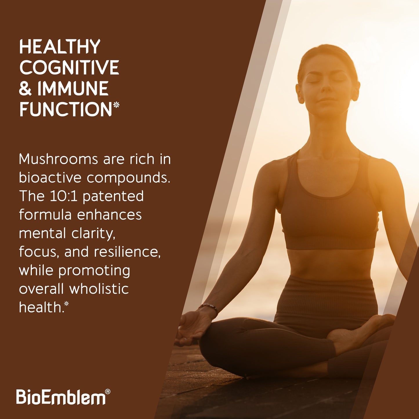 BioEmblem Mushroom Complex - 10:1 Strength and 7 Species 90ct